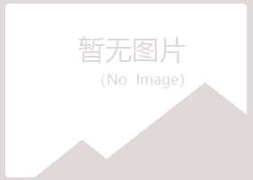 吴忠冰夏化学有限公司